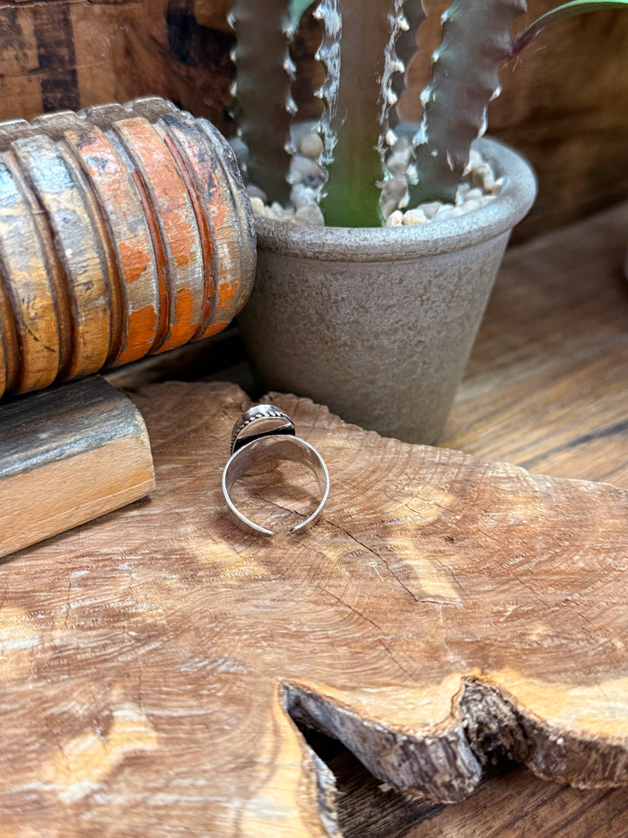 Side view of an adjustable silver-tone ring with an oval dark fossil stone setting
