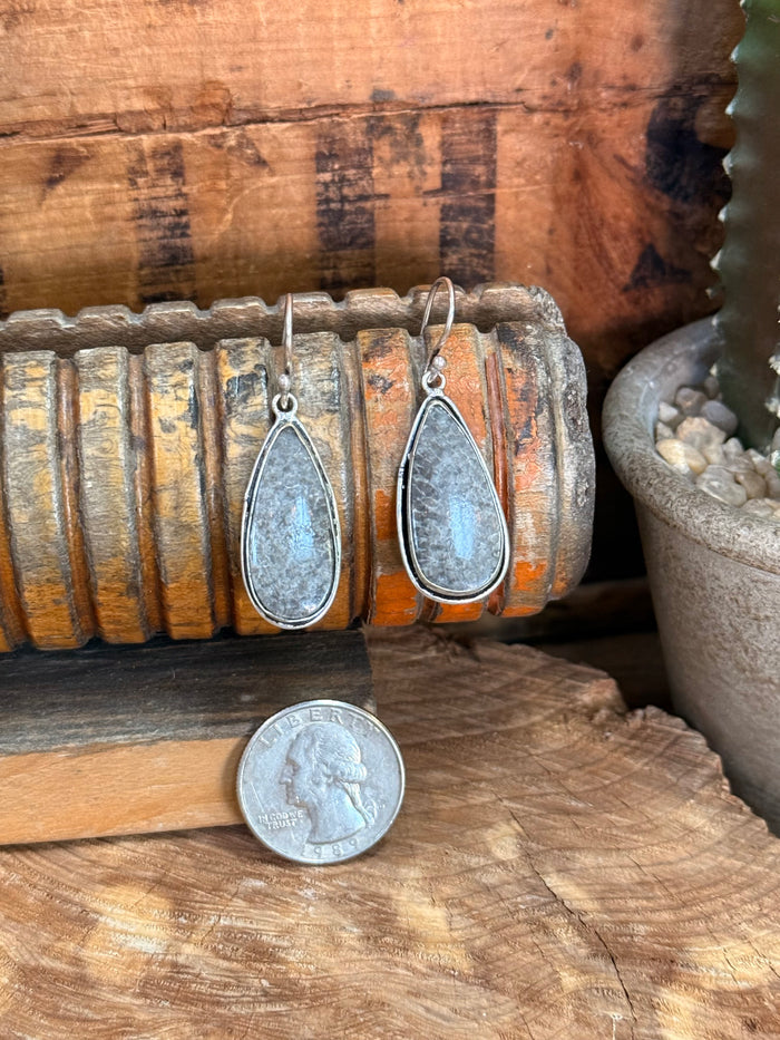 Silver-tone teardrop stone fishhook earrings with coin for size reference