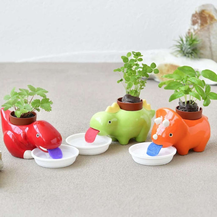 Green Zaurus - Assorted 3 Styles - City Bird