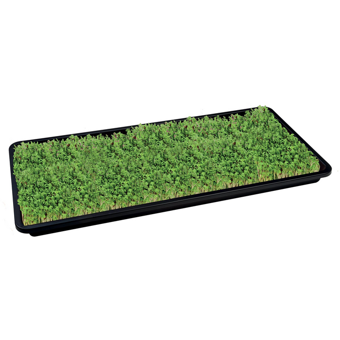 Microgreens Gro Mats