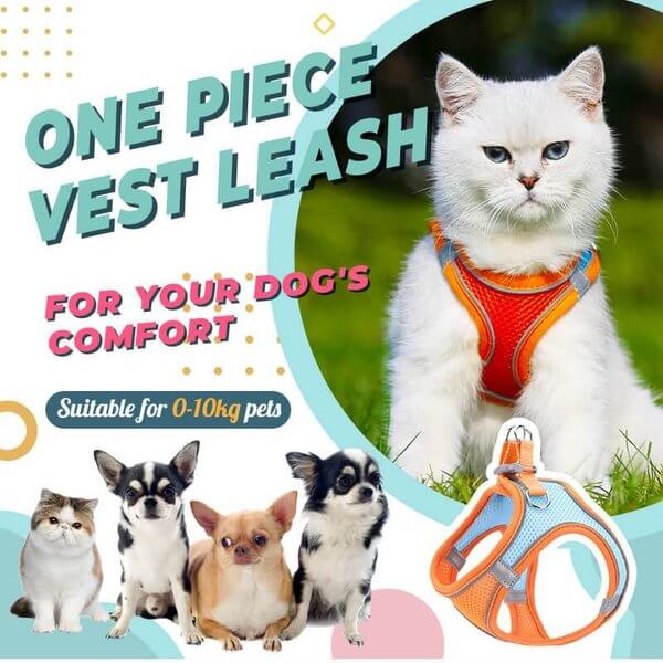 üêï One Piece Pet Vest Leash ‚Äì Adjustable & breathable mesh