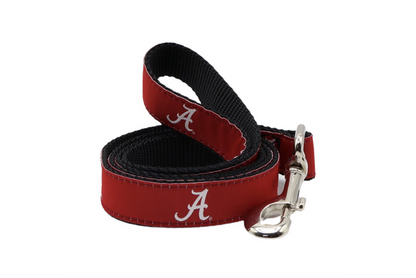 6' College Leash