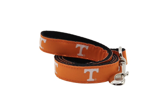 6' College Leash