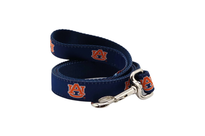 6' College Leash