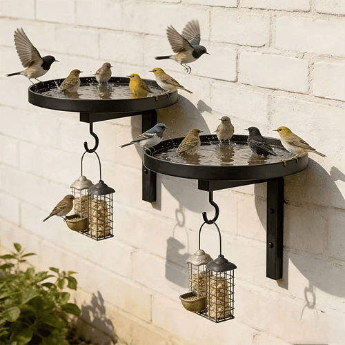 üì¢üì¢40% OFF !!!‚è∞Wall-Mounted Metal Bird Bath ‚Äì Antique Bronze Finish üê¶üõÅüß±üè°