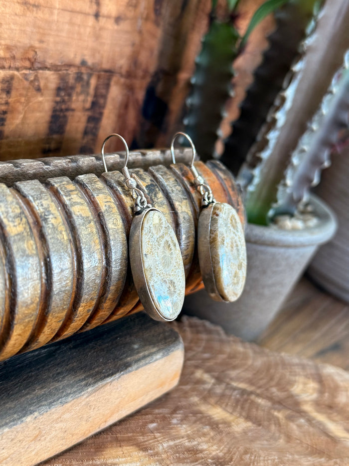 Oval pale blue stone fishhook earrings with curved hooks and hanging loops