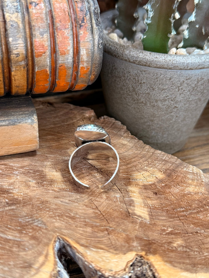 Open-back silver-tone ring with dark mottled cabochon stone