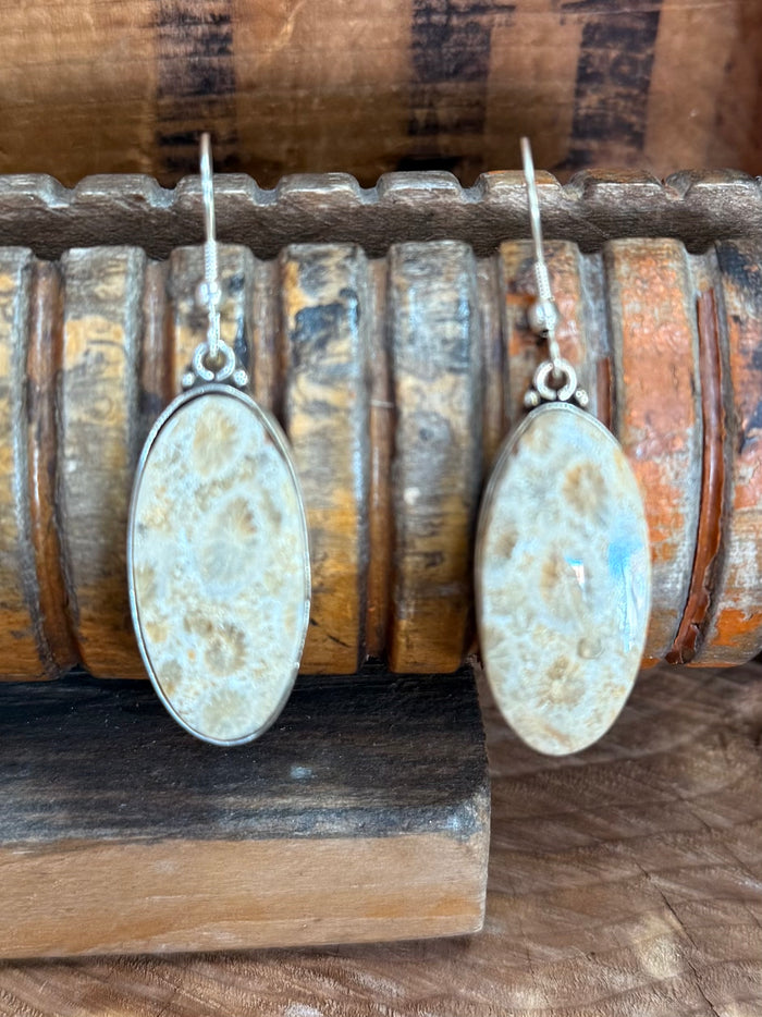 Pair of silver fishhook earrings with large oval pale blue textured stone pendants