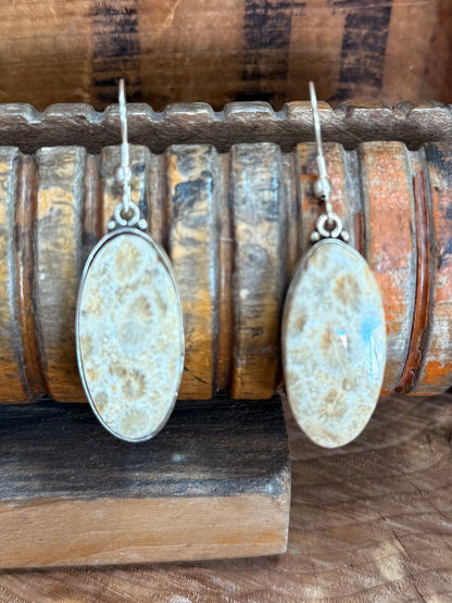 Pair of silver fishhook earrings with large oval pale blue textured stone pendants