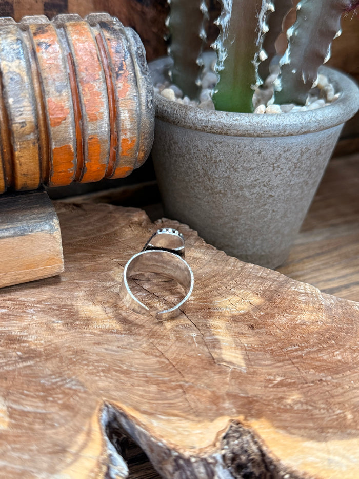 Adjustable picture jasper ring with triangular stone set in silver beaded bezel on band
