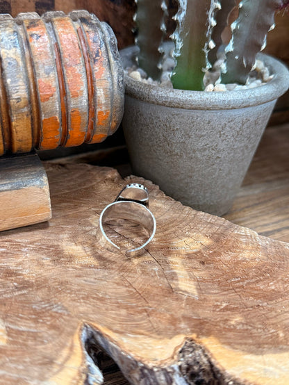 Adjustable picture jasper ring with triangular stone set in silver beaded bezel on band