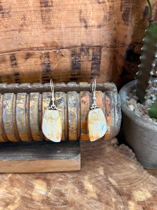 Silver fishhook earrings with oval opal-like natural stone drops