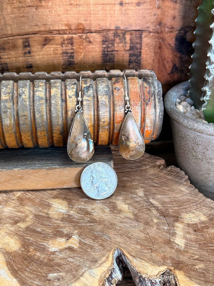 Silver fishhook earrings with pear-shaped natural stone drops, paired front view