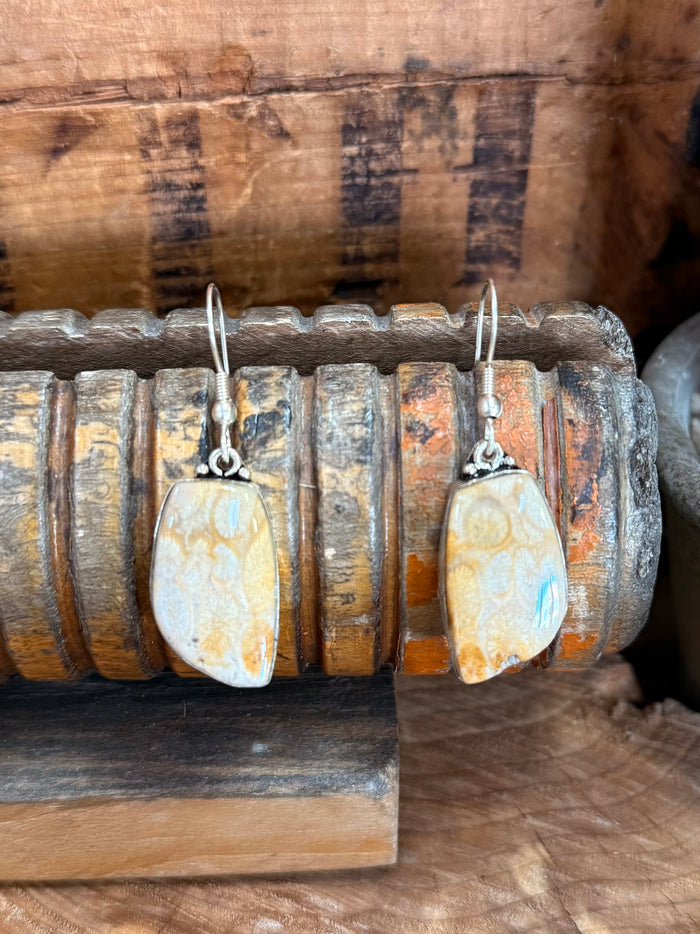 Pair of silver fishhook earrings with oval opal-like natural stone drops