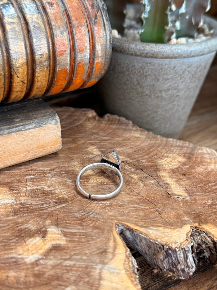 Adjustable silver-toned ring band, no gemstone visible from this angle