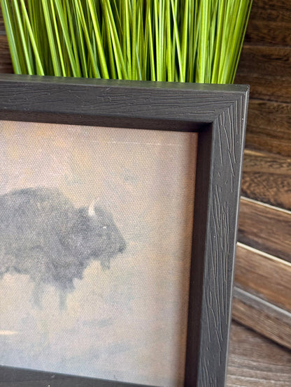Close-up of dark gray framed buffalo print with light dust storm sky