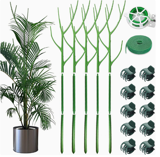 üåøBranch-Style Plant Support Stakesüåø