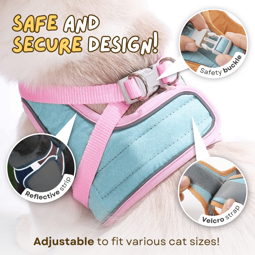 üî•Cat Harness & Leashüò∫‚ú®