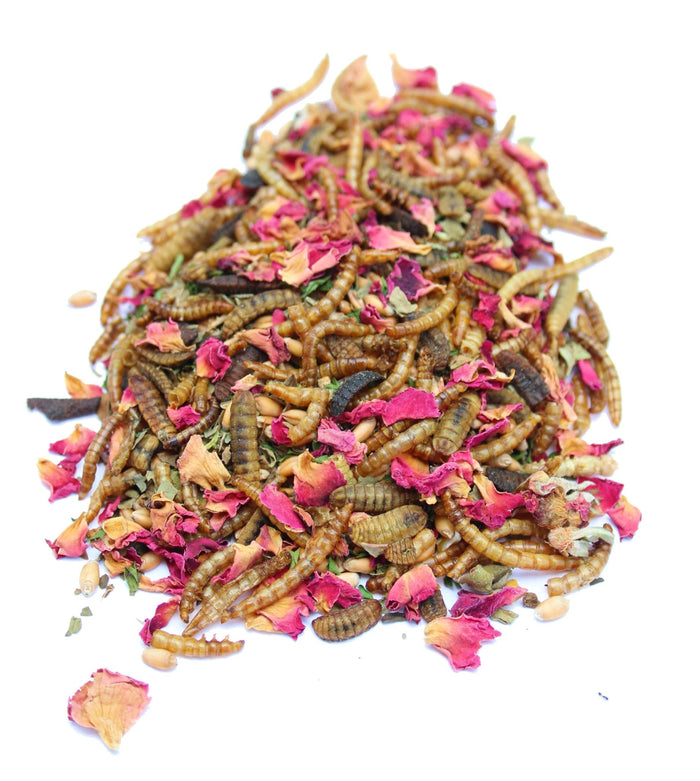 BEE A Beautiful Hen Herbal Treat With Mealworms, Wheat, & Rose Petals For Chickens