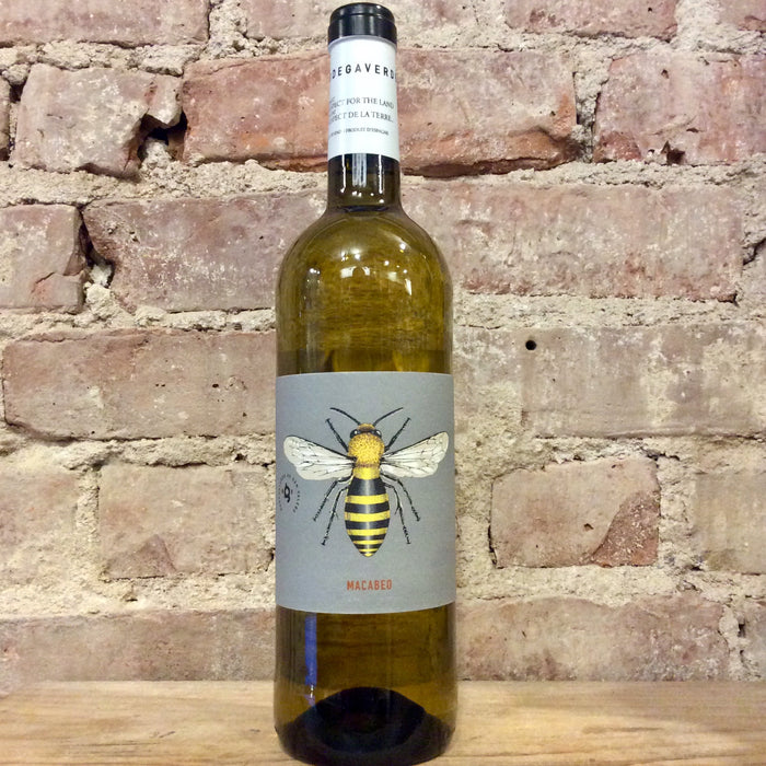 Bodega Verde Carinena Macabeo 2023 750ml