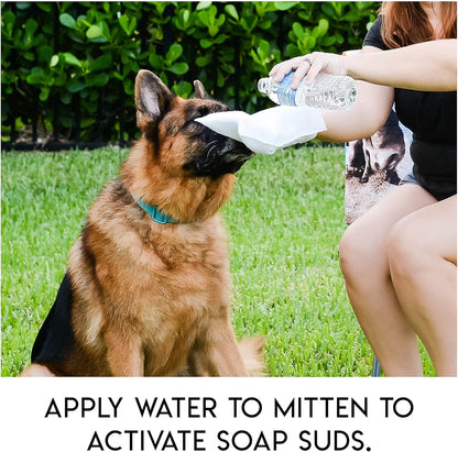 üî•Rinse-Free Dog Shampoo Mitts ‚Äì Hypoallergenic Pet Bath Wipes, 6 Packs