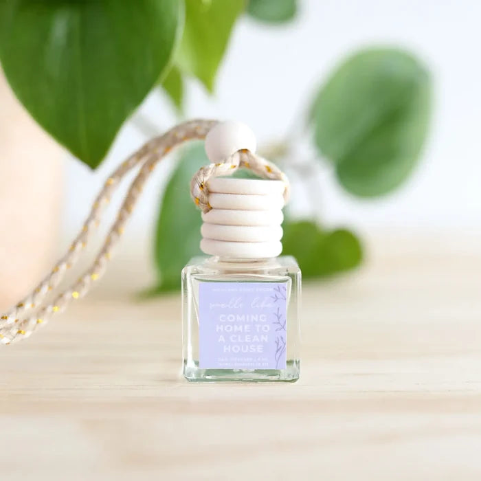Car Diffuser- Assorted Scents- Sold Individually