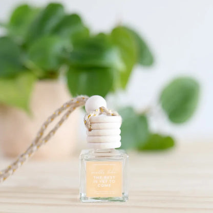 Car Diffuser- Assorted Scents- Sold Individually