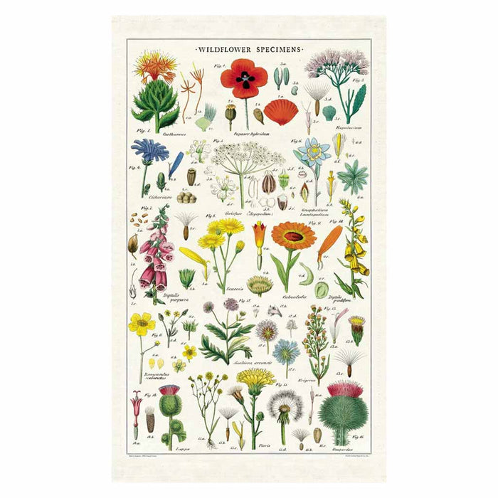 Wildflowers