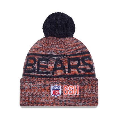 Chicago Bears New Era 2025 Bear Face Sideline Sport Knit Winter Hat