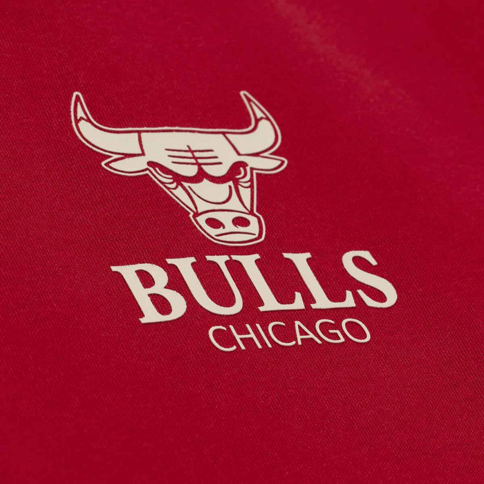 Chicago Bulls Mitchell And Ness Essentials Fleece Red Hooded Sweatshirt