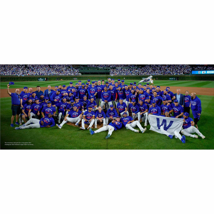 Chicago Cubs Official 150th Anniversary Coffee Book
