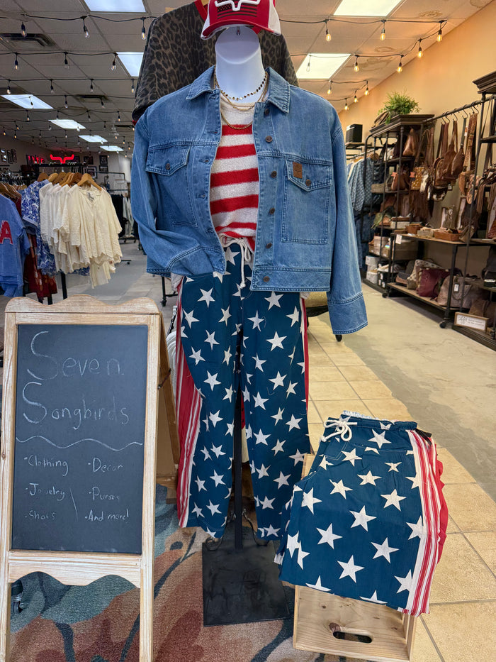 Flag print drawstring pants on mannequin, blue stars with red and cream stripe accents
