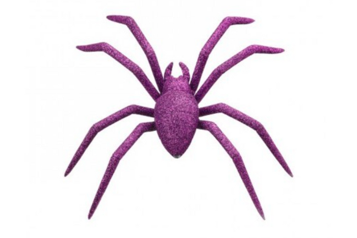 Glitter Spider