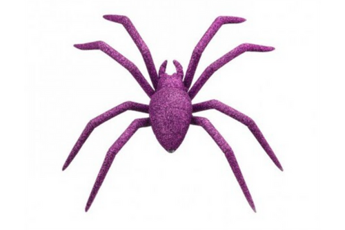 Glitter Spider