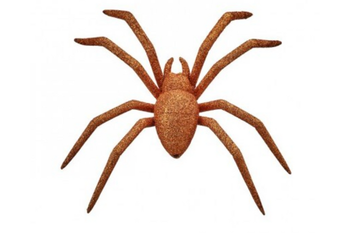 Glitter Spider