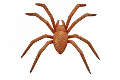 Glitter Spider