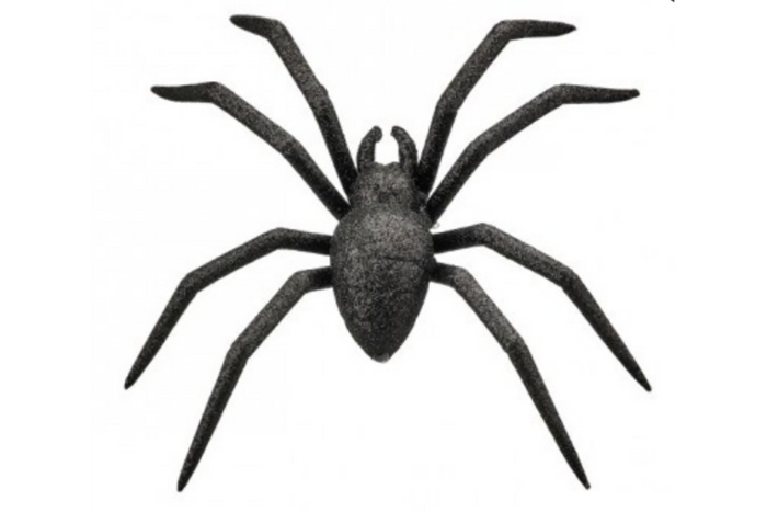 Glitter Spider