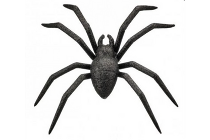 Glitter Spider