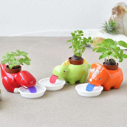Green Zaurus - Assorted 3 Styles - City Bird