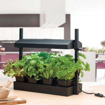 LED Light Grow Garden