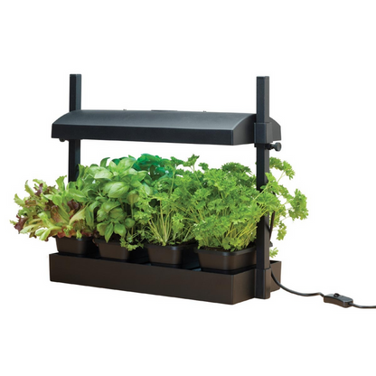 LED Light Grow Garden