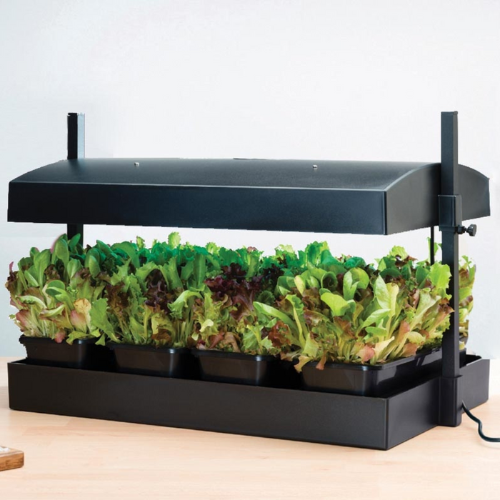LED Light Grow Garden