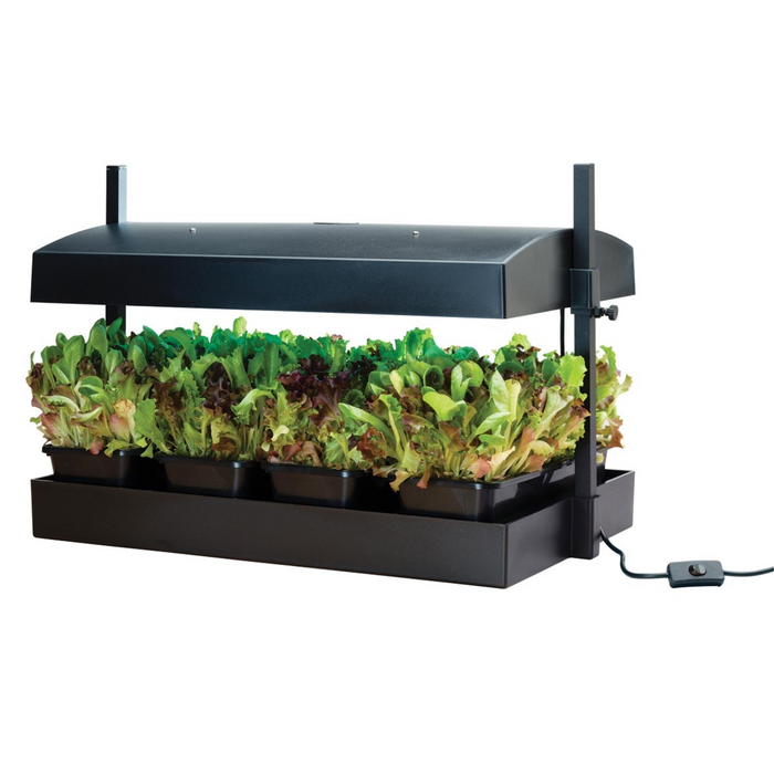 LED Light Grow Garden