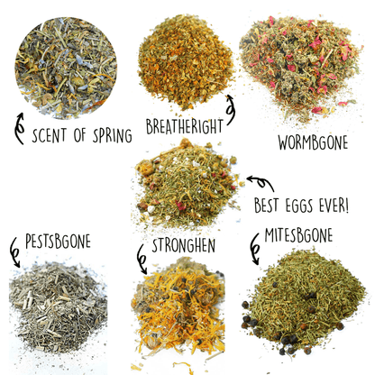 Nesting Herb Starter Bundle-- 7 Different Nesting & Coop Herbs