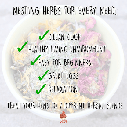 Nesting Herb Starter Bundle-- 7 Different Nesting & Coop Herbs