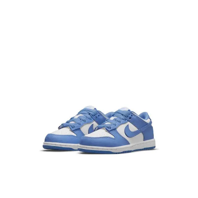 Pair of low-top sneakers, blue and white with Nike swoosh overlays and lace-up