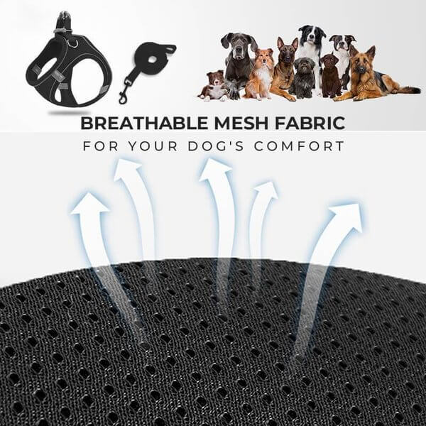 üêï One Piece Pet Vest Leash ‚Äì Adjustable & breathable mesh