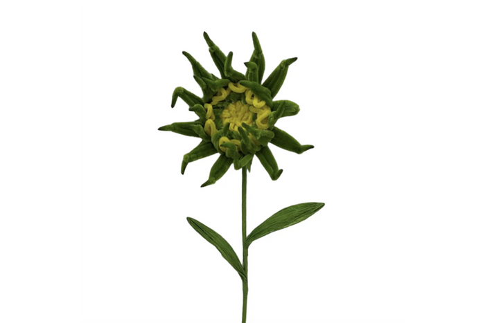 Sunflower Spray