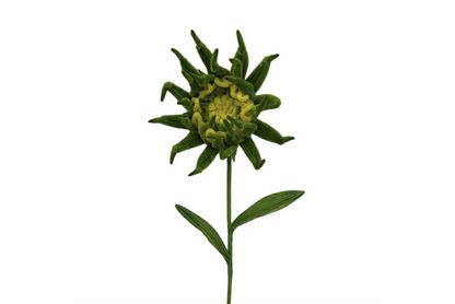 Sunflower Spray