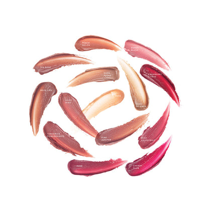 Tasting Plates: Lip Nourish Natural Lipstick Shade Samples